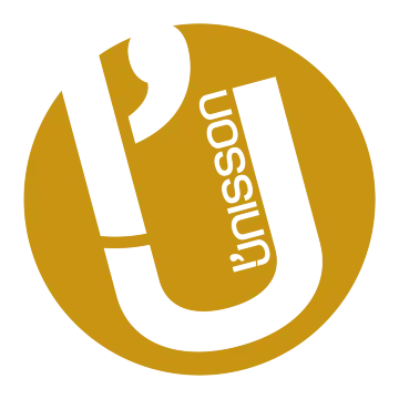 Logo Unisson-1